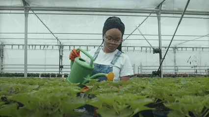 Horizontal video: Woman watering plants 6508513. Duration: 17 seconds. Resolution: 3840x2160