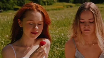 Horizontal video: Medium close up of women eating and talking at a picnic 8531892. Duration: 18 seconds. Resolution: 3840x2160