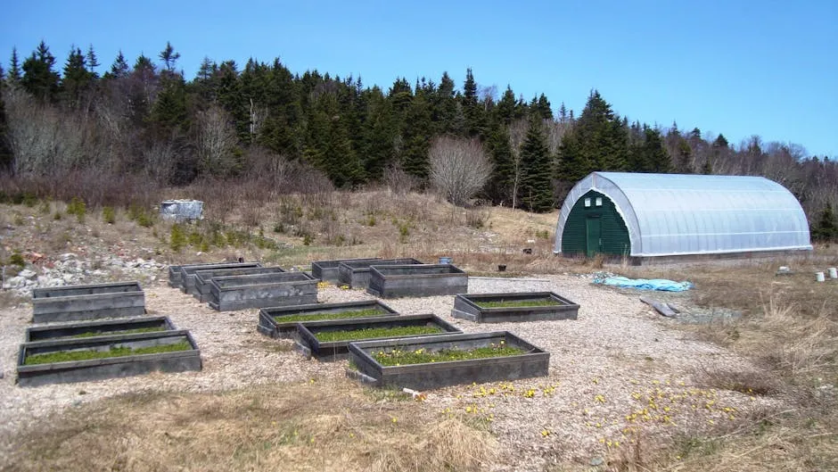 Garden Boxes and Polytunnel in Countryside