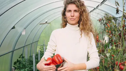Horizontal video: Woman with red bell peppers standing in a green house 5479180. Duration: 14 seconds. Resolution: 3840x2160