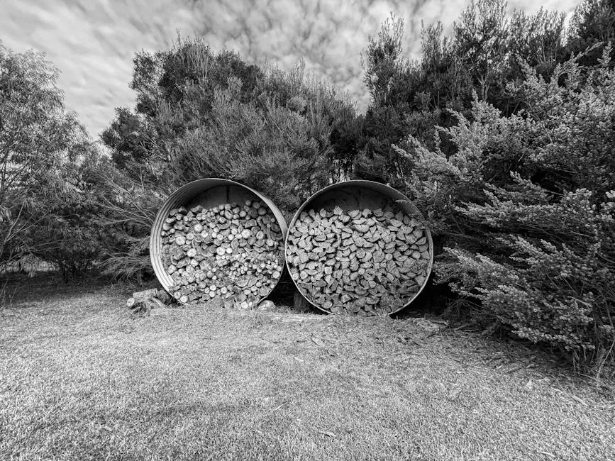 Barrels with Firewood in a Garden 