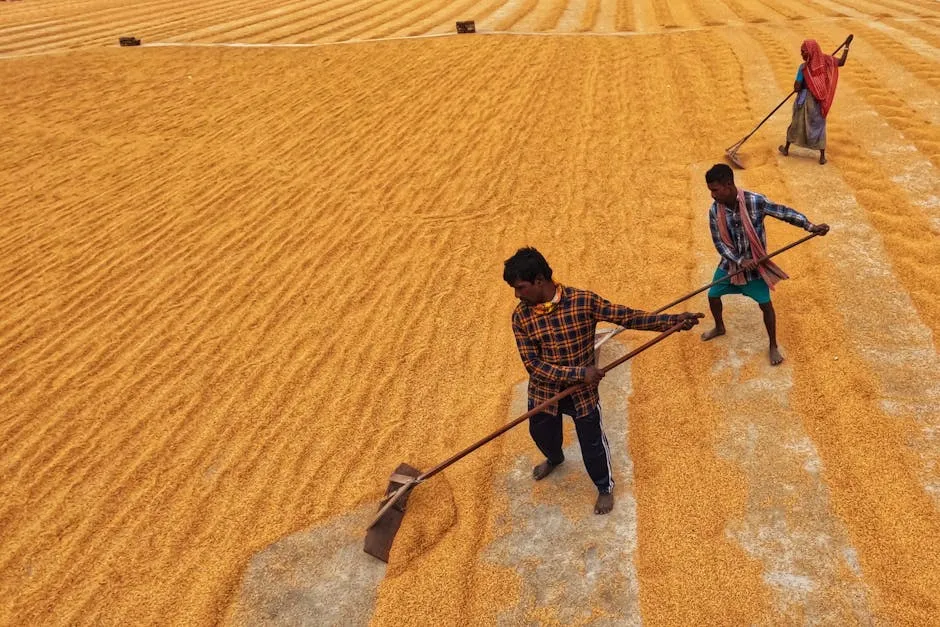 Men and Woman Working on Rural Field