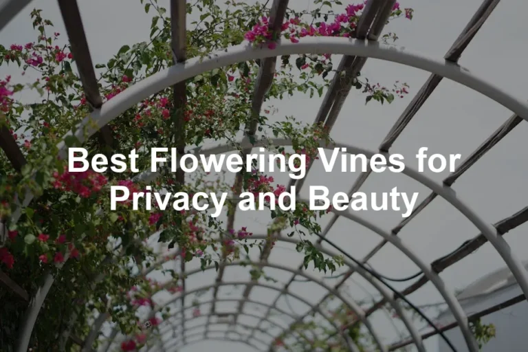 Featured image for Best Flowering Vines for Privacy and Beauty