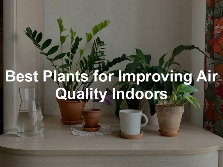 Featured image for Best Plants for Improving Air Quality Indoors