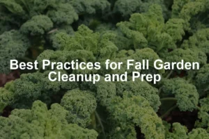 Featured image for Best Practices for Fall Garden Cleanup and Prep