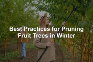 Featured image for Best Practices for Pruning Fruit Trees in Winter