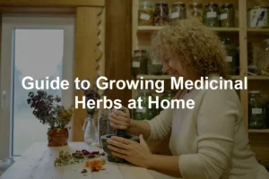 Featured image for Guide to Growing Medicinal Herbs at Home