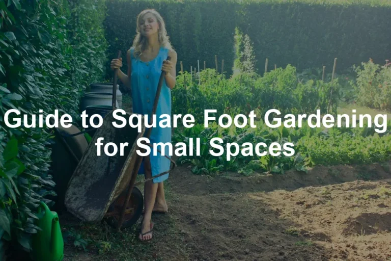 Featured image for Guide to Square Foot Gardening for Small Spaces