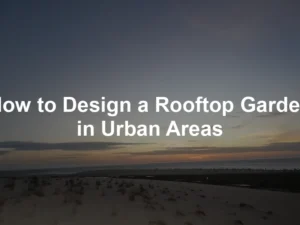 Featured image for How to Design a Rooftop Garden in Urban Areas