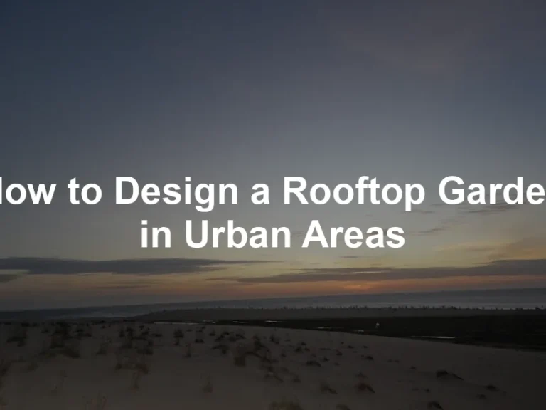 Featured image for How to Design a Rooftop Garden in Urban Areas