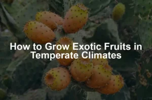 Featured image for How to Grow Exotic Fruits in Temperate Climates