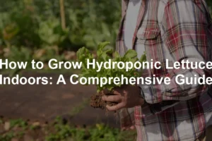 Featured image for How to Grow Hydroponic Lettuce Indoors: A Comprehensive Guide