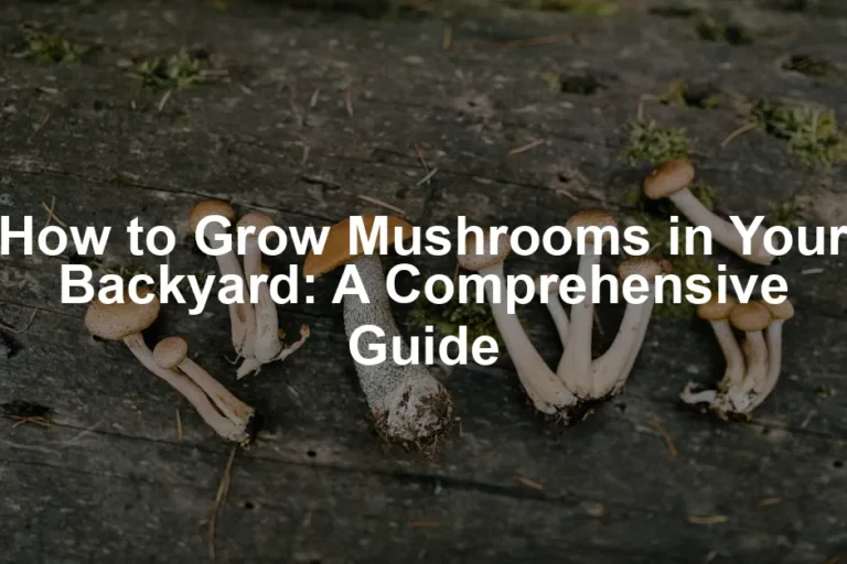Featured image for How to Grow Mushrooms in Your Backyard: A Comprehensive Guide