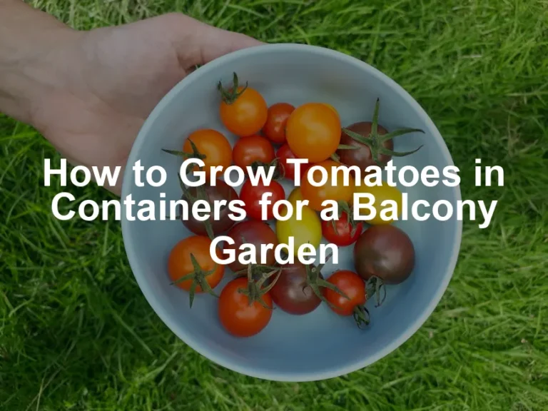 Featured image for How to Grow Tomatoes in Containers for a Balcony Garden