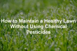 Featured image for How to Maintain a Healthy Lawn Without Using Chemical Pesticides