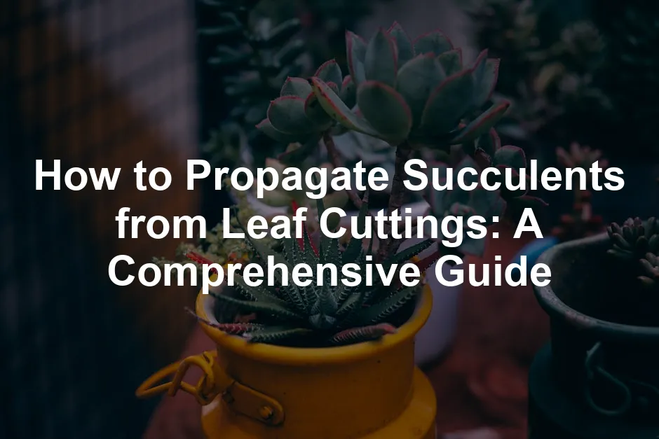 Featured image for How to Propagate Succulents from Leaf Cuttings: A Comprehensive Guide