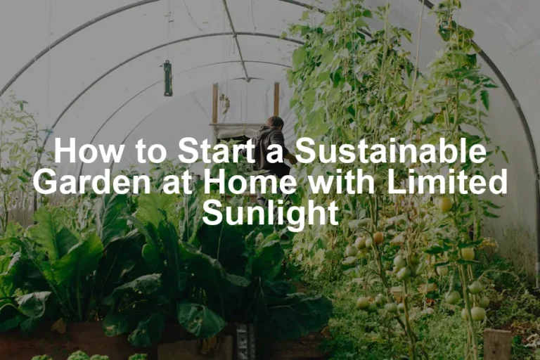 Featured image for How to Start a Sustainable Garden at Home with Limited Sunlight