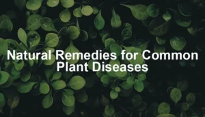 Featured image for Natural Remedies for Common Plant Diseases
