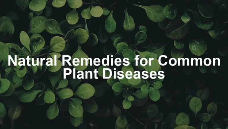 Featured image for Natural Remedies for Common Plant Diseases