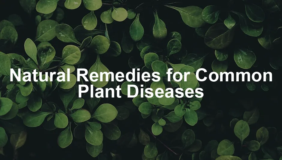 Featured image for Natural Remedies for Common Plant Diseases