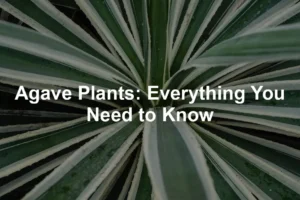 Featured image for Agave Plants: Everything You Need to Know