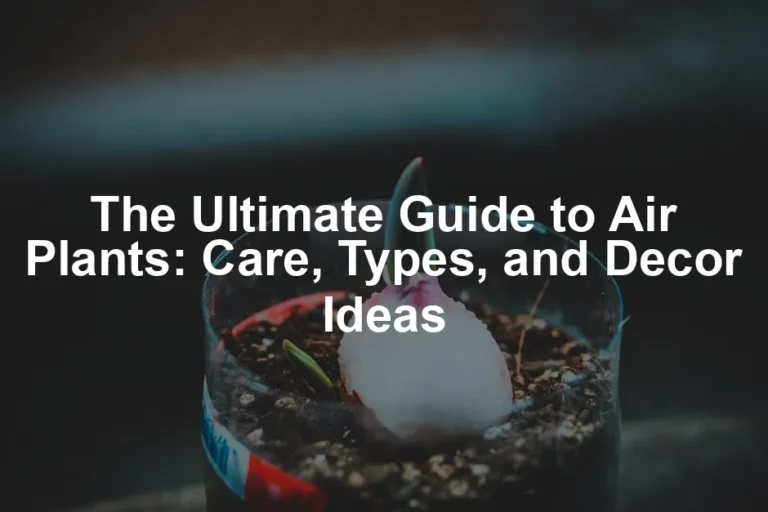 Featured image for The Ultimate Guide to Air Plants: Care, Types, and Decor Ideas