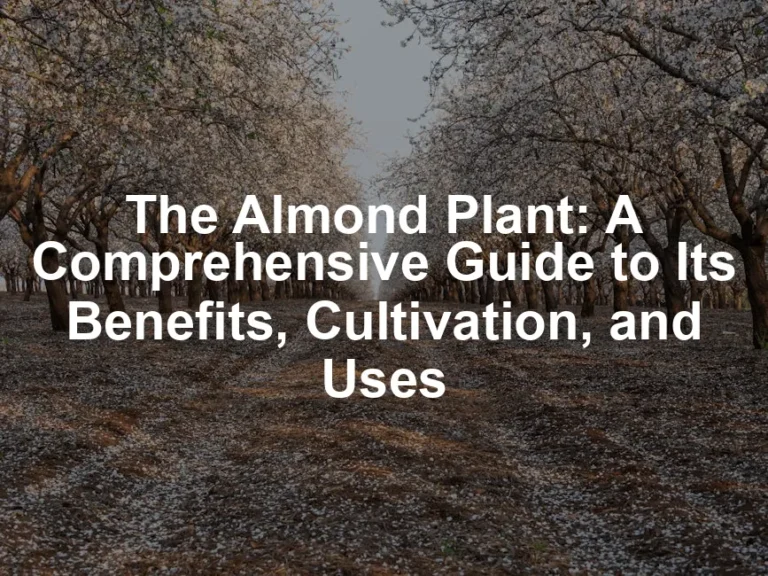 Featured image for The Almond Plant: A Comprehensive Guide to Its Benefits, Cultivation, and Uses