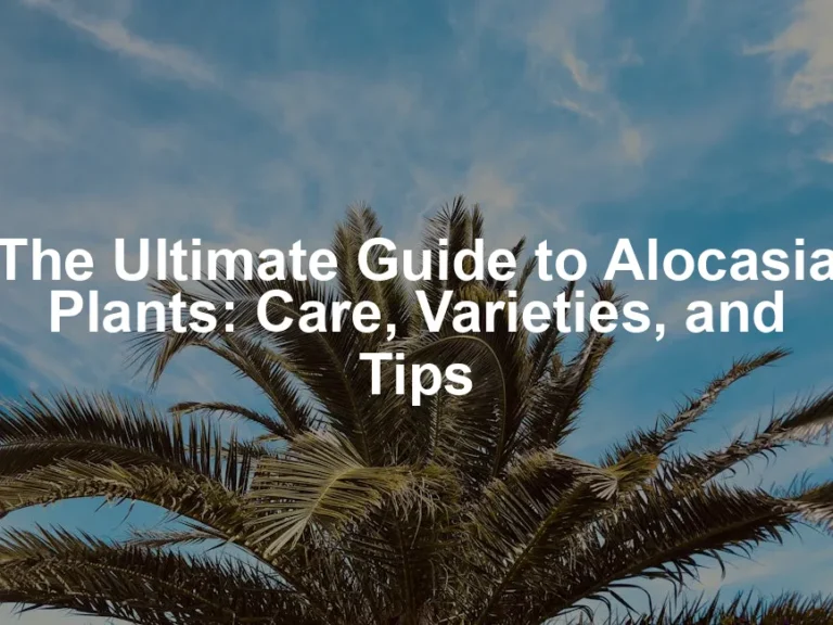 Featured image for The Ultimate Guide to Alocasia Plants: Care, Varieties, and Tips