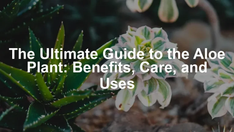 Featured image for The Ultimate Guide to the Aloe Plant: Benefits, Care, and Uses