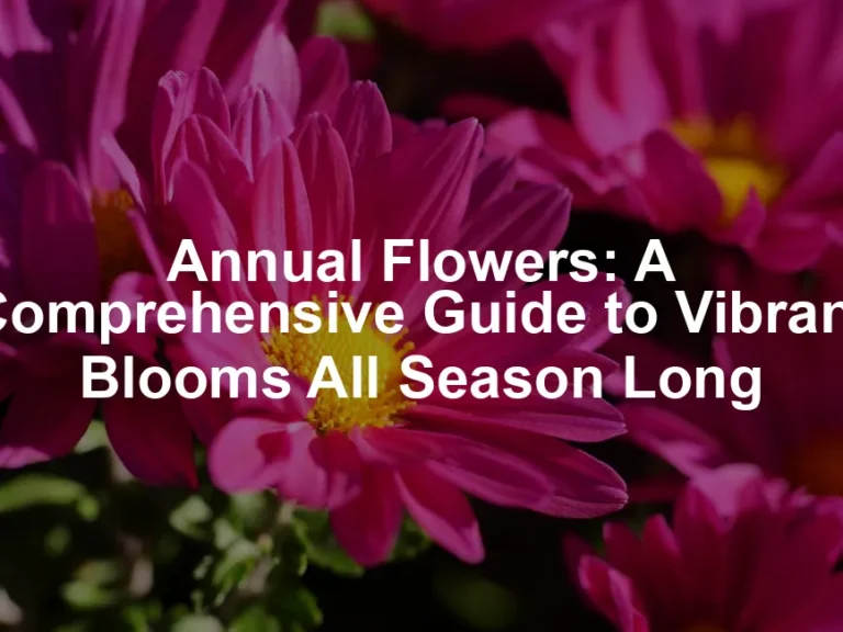 Featured image for Annual Flowers: A Comprehensive Guide to Vibrant Blooms All Season Long