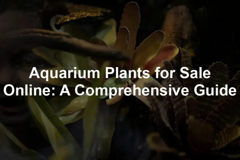 Featured image for Aquarium Plants for Sale Online: A Comprehensive Guide
