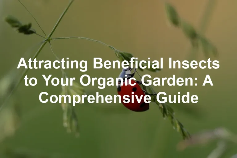 Featured image for Attracting Beneficial Insects to Your Organic Garden: A Comprehensive Guide