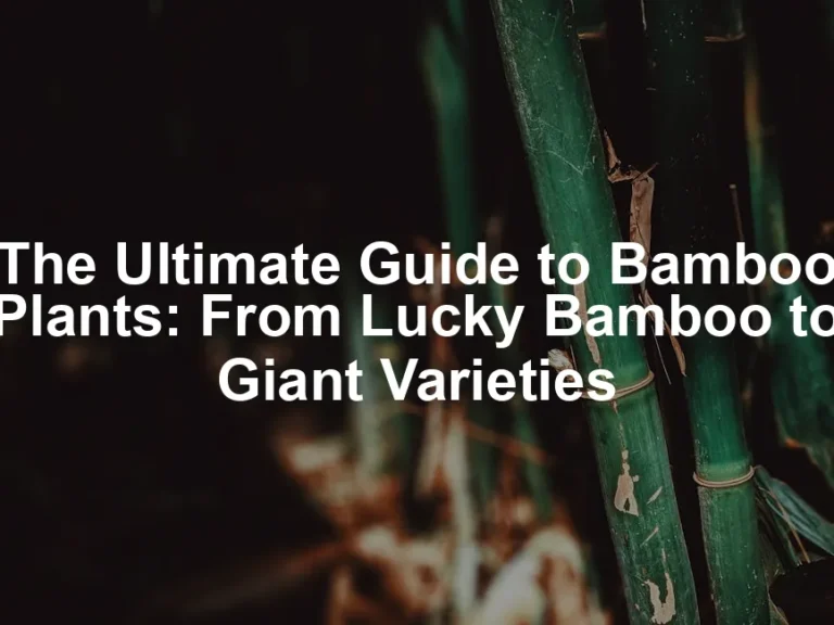Featured image for The Ultimate Guide to Bamboo Plants: From Lucky Bamboo to Giant Varieties