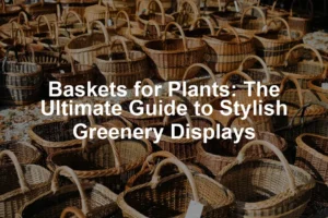 Featured image for Baskets for Plants: The Ultimate Guide to Stylish Greenery Displays