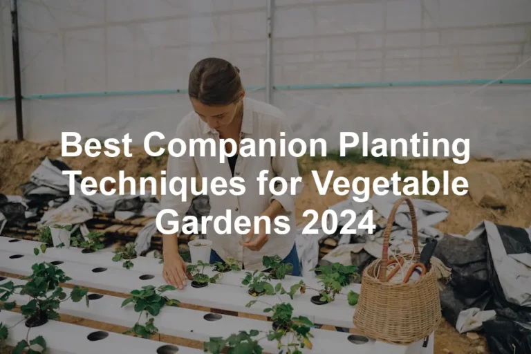 Featured image for Best Companion Planting Techniques for Vegetable Gardens 2024