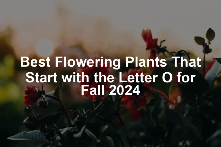 Featured image for Best Flowering Plants That Start with the Letter O for Fall 2024