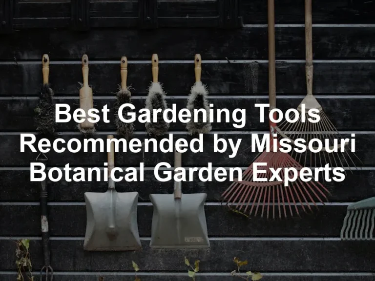 Featured image for Best Gardening Tools Recommended by Missouri Botanical Garden Experts