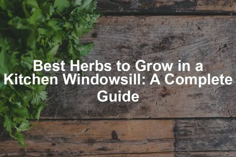 Featured image for Best Herbs to Grow in a Kitchen Windowsill: A Complete Guide