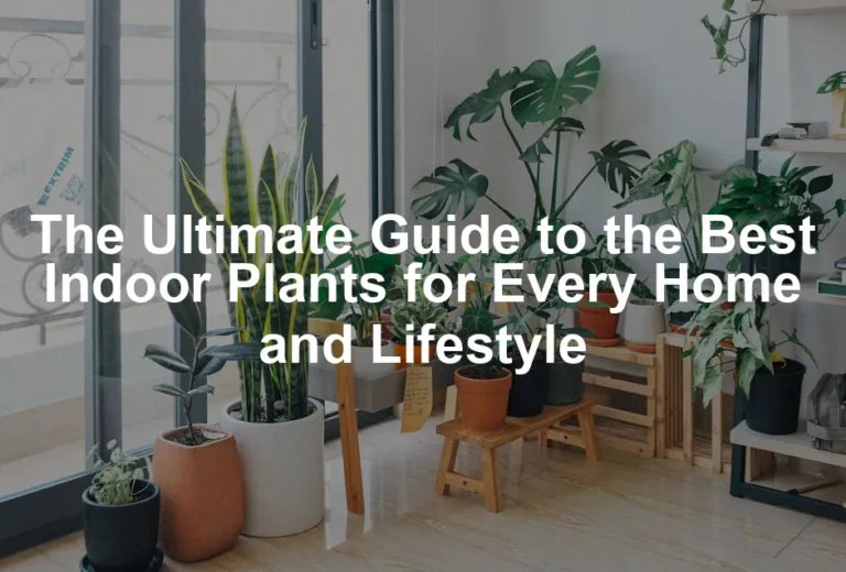 Featured image for The Ultimate Guide to the Best Indoor Plants for Every Home and Lifestyle