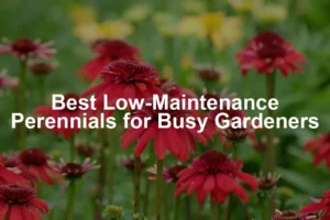 Featured image for Best Low-Maintenance Perennials for Busy Gardeners