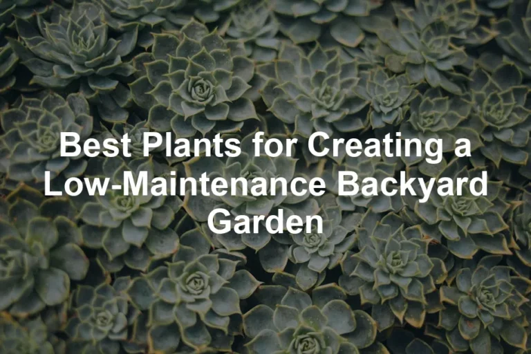Featured image for Best Plants for Creating a Low-Maintenance Backyard Garden
