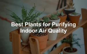 Featured image for Best Plants for Purifying Indoor Air Quality