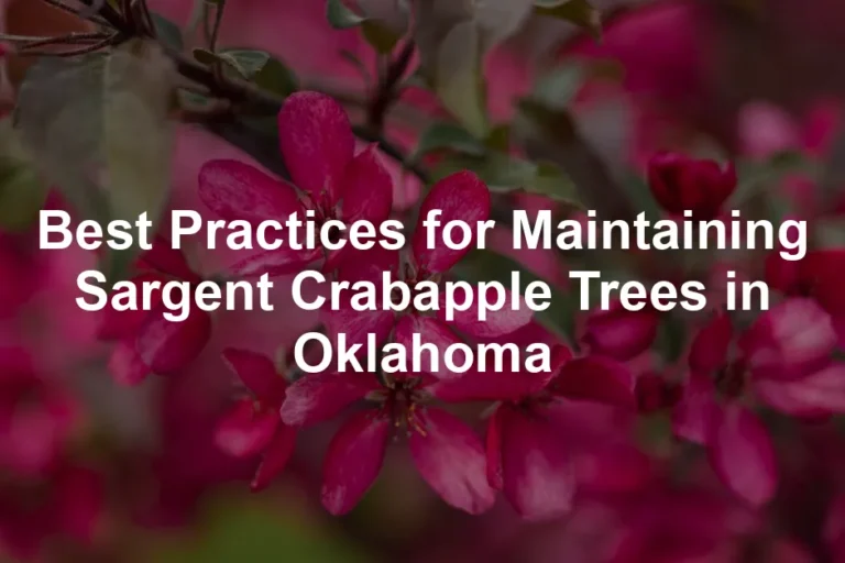 Featured image for Best Practices for Maintaining Sargent Crabapple Trees in Oklahoma