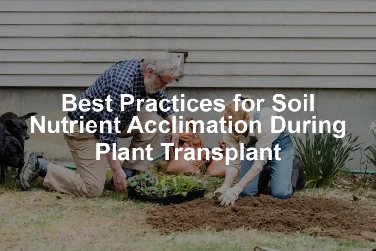 Featured image for Best Practices for Soil Nutrient Acclimation During Plant Transplant