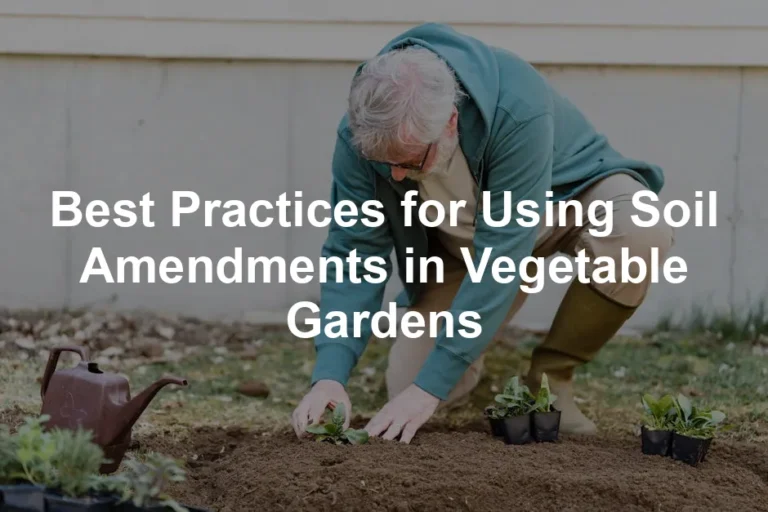 Featured image for Best Practices for Using Soil Amendments in Vegetable Gardens