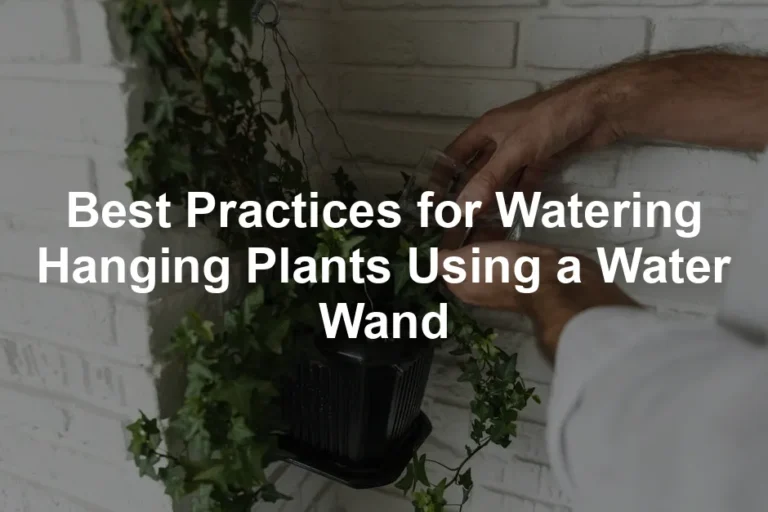 Featured image for Best Practices for Watering Hanging Plants Using a Water Wand