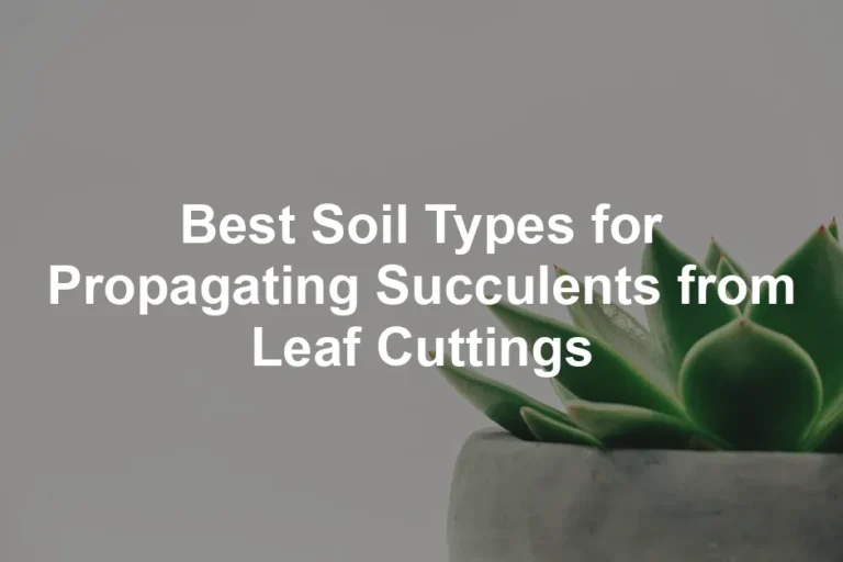 Featured image for Best Soil Types for Propagating Succulents from Leaf Cuttings