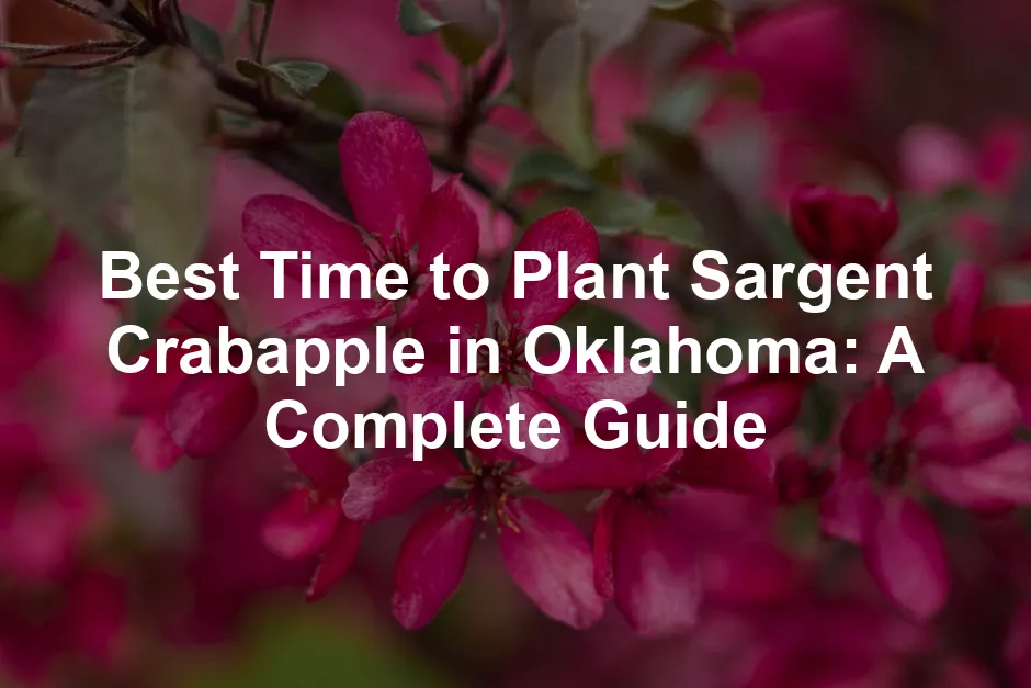 Featured image for Best Time to Plant Sargent Crabapple in Oklahoma: A Complete Guide