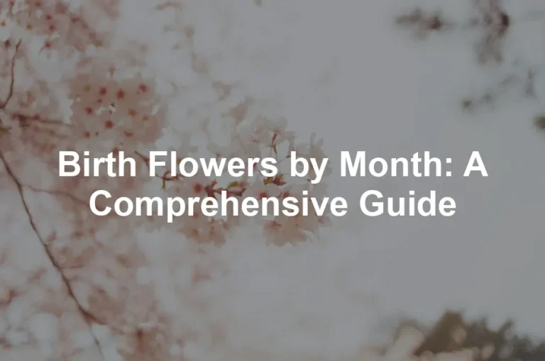 Featured image for Birth Flowers by Month: A Comprehensive Guide