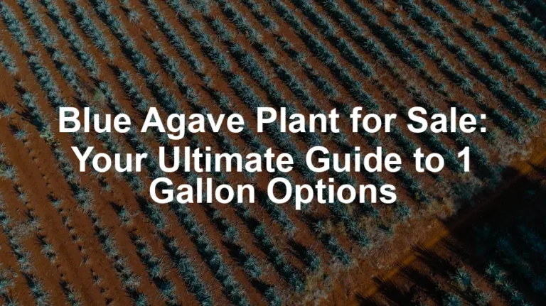 Featured image for Blue Agave Plant for Sale: Your Ultimate Guide to 1 Gallon Options